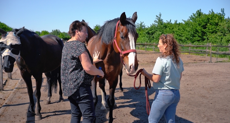 Kim en hanneke stopte met roken door paardencoaching